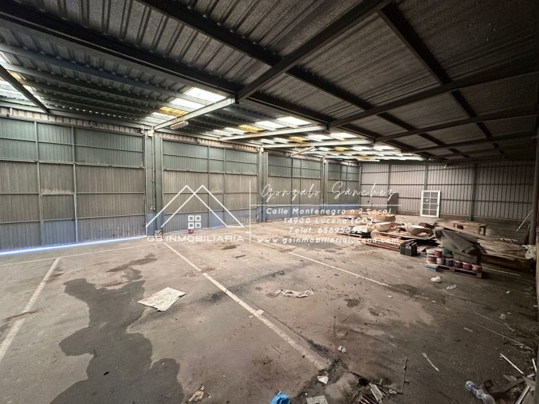 WhatsApp20Image202026-02-1320at2013.28.59