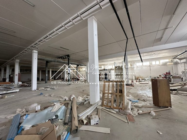 WhatsApp20Image202026-02-1320at2013.28.592028129