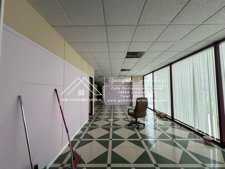 WhatsApp20Image202026-02-1320at2013.29.012028129