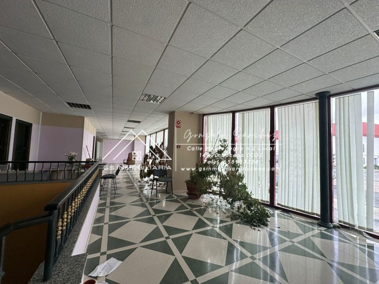 WhatsApp20Image202026-02-1320at2013.29.022028129