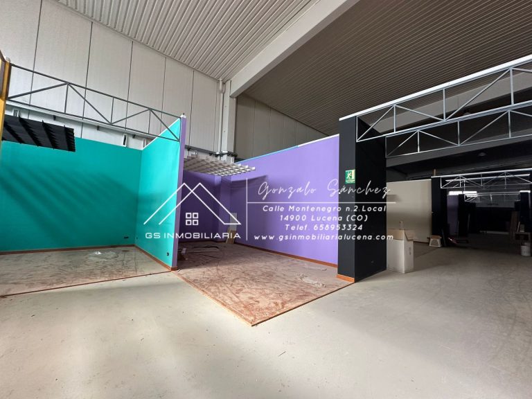 WhatsApp20Image202026-02-1320at2013.29.03