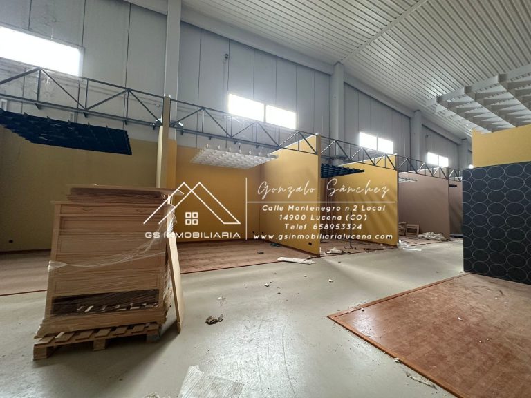 WhatsApp20Image202026-02-1320at2013.29.032028129