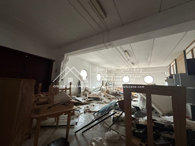 WhatsApp20Image202026-02-1320at2013.29.032028229