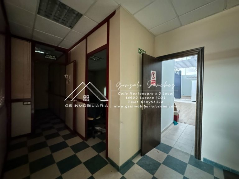 WhatsApp20Image202026-02-1320at2013.29.042028129