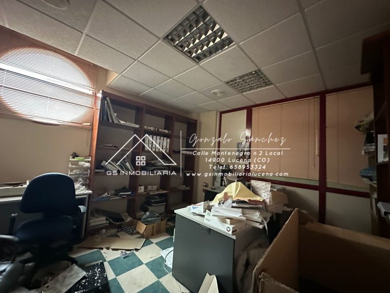 WhatsApp20Image202026-02-1320at2013.29.042028229