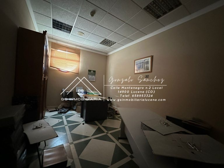 WhatsApp20Image202026-02-1320at2013.29.042028329