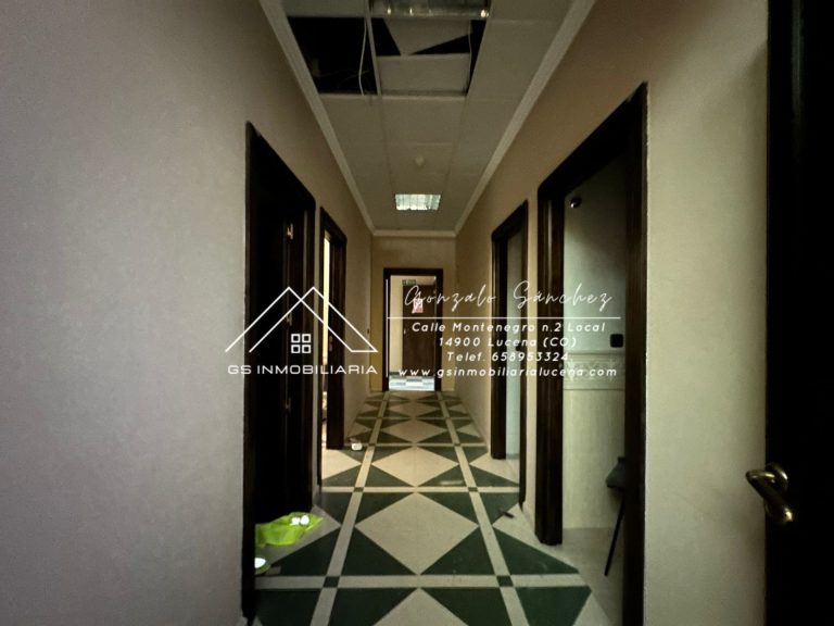 WhatsApp20Image202026-02-1320at2013.29.05