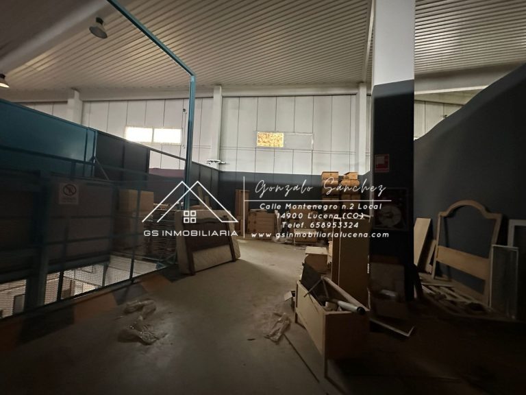 WhatsApp20Image202026-02-1320at2013.29.052028229