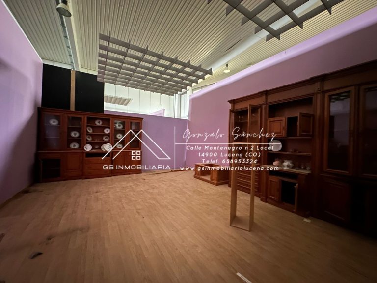 WhatsApp20Image202026-02-1320at2013.29.19