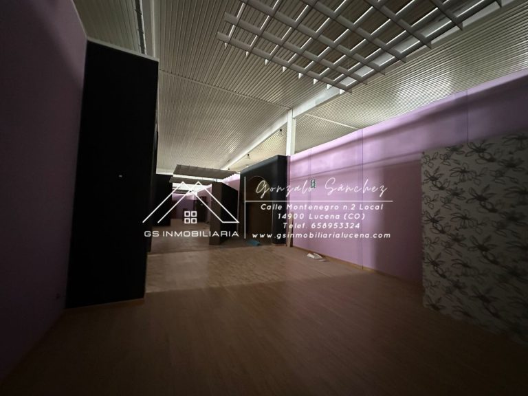 WhatsApp20Image202026-02-1320at2013.29.21