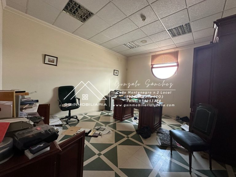 WhatsApp20Image202026-02-1320at2013.29.212028129