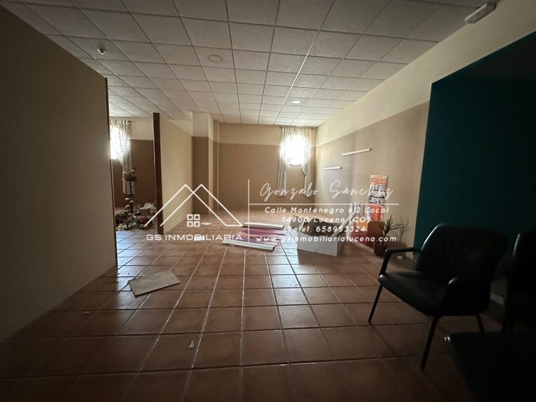 WhatsApp20Image202026-02-1320at2013.29.23