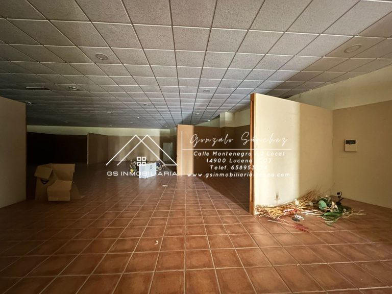 WhatsApp20Image202026-02-1320at2013.29.232028229