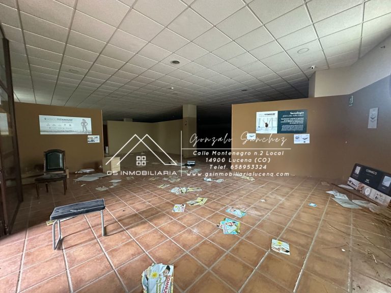 WhatsApp20Image202026-02-1320at2013.29.24