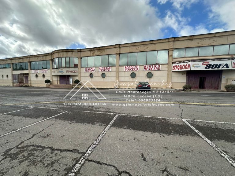 WhatsApp20Image202026-02-1320at2013.29.242028129