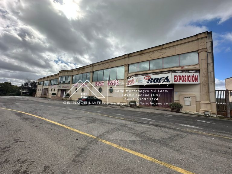 WhatsApp20Image202026-02-1320at2013.29.242028229