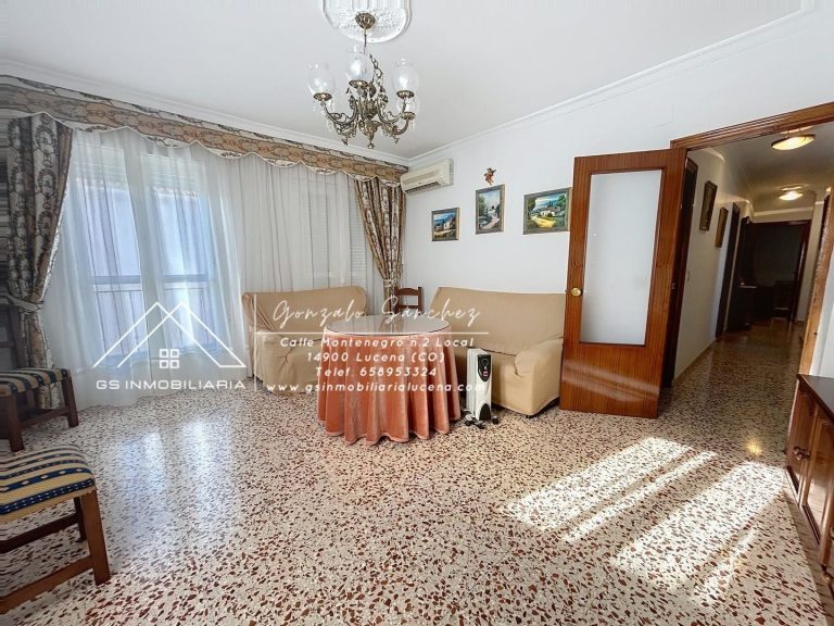 WhatsApp20Image202026-02-1620at2019.29.42