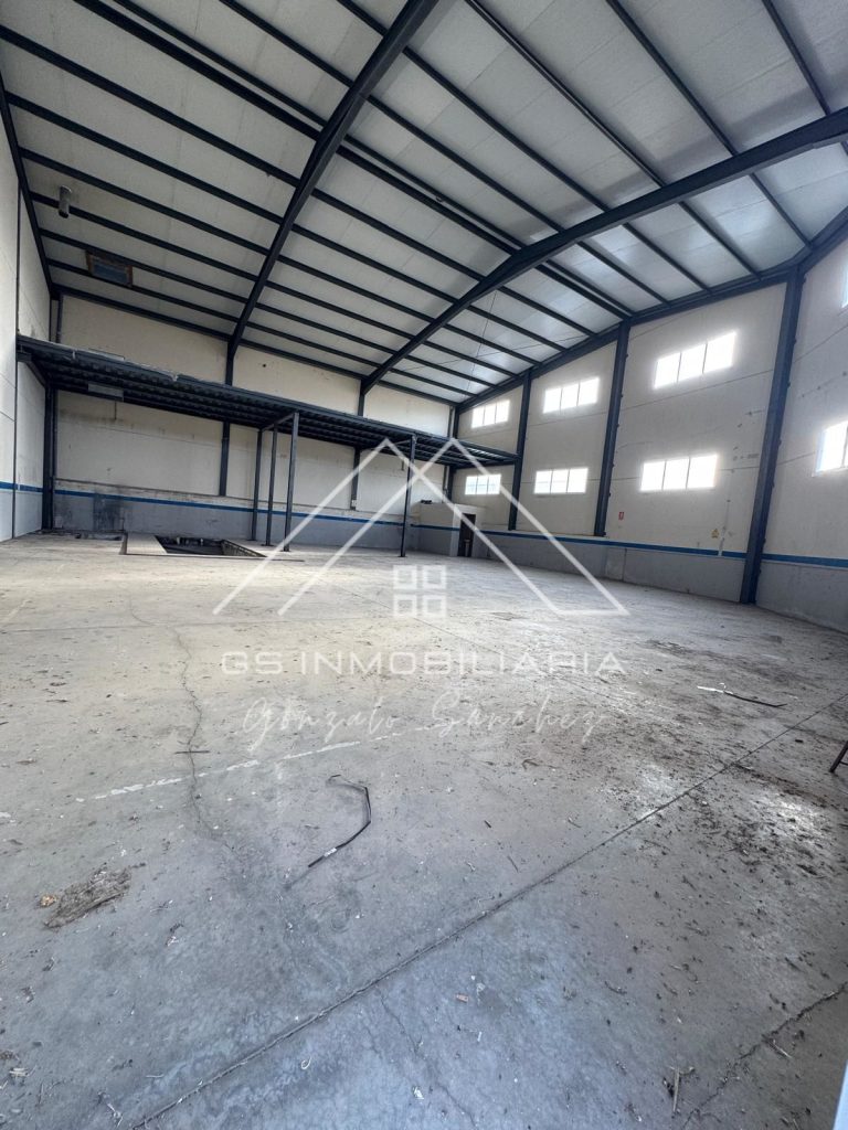 WhatsApp20Image202025-10-1520at2009.51.292028229