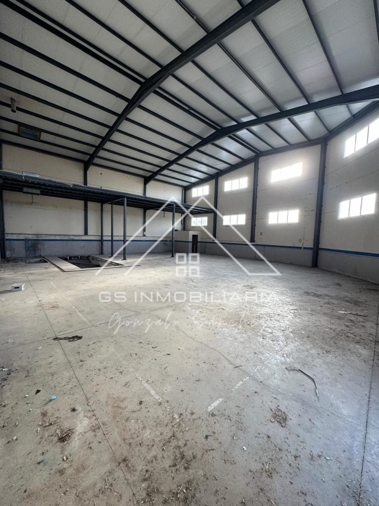 WhatsApp20Image202025-10-1520at2009.51.292028329