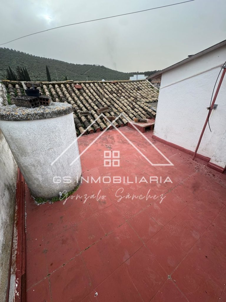 WhatsApp20Image202026-03-0320at2017.45.312028229-1