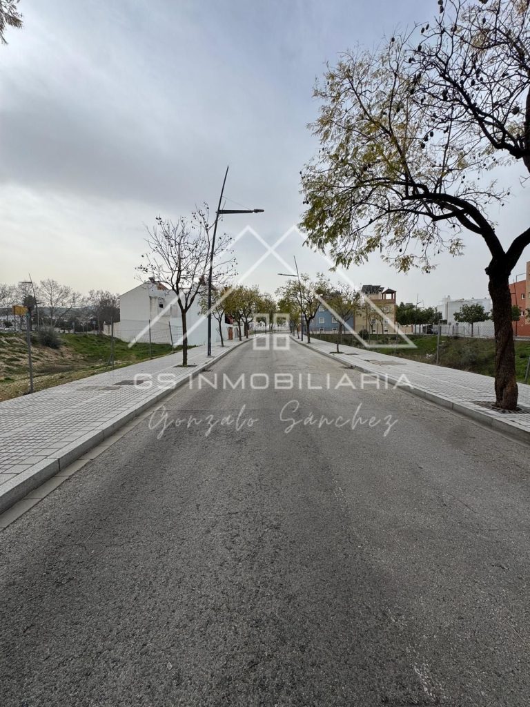 WhatsApp20Image202026-03-0420at2010.19.24-1