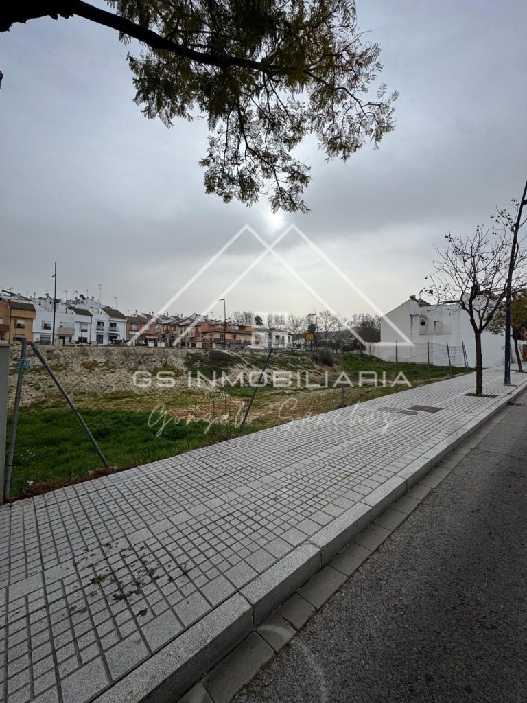 WhatsApp20Image202026-03-0420at2010.19.242028129-1