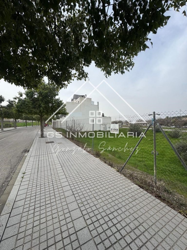 WhatsApp20Image202026-03-0420at2010.30.12