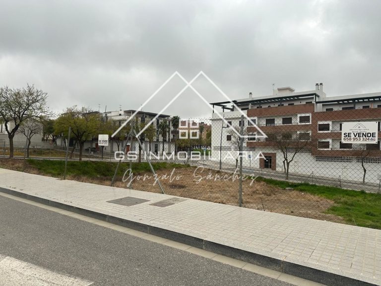 WhatsApp20Image202026-03-0420at2011.42.34