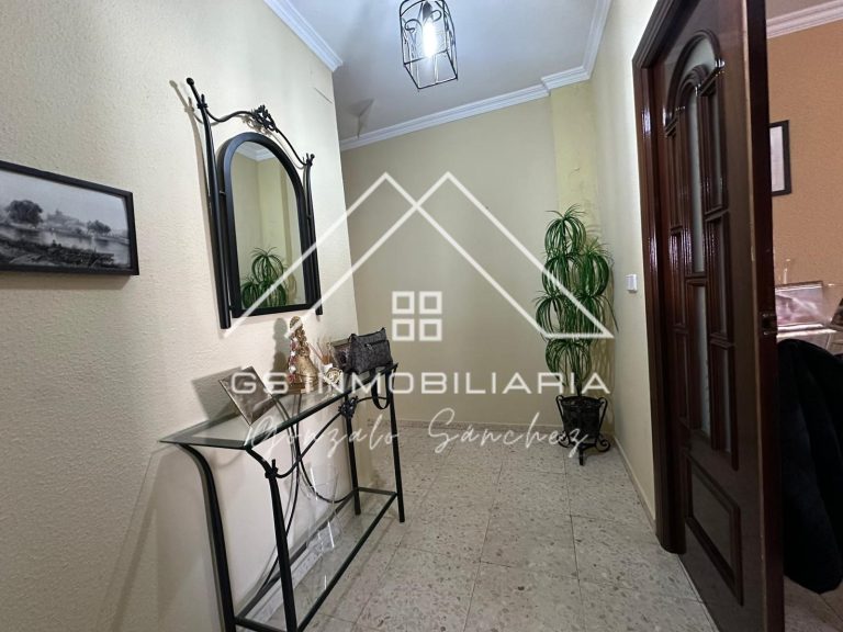 WhatsApp20Image202026-03-1220at2011.13.312028229