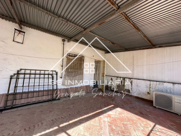 WhatsApp20Image202026-03-1220at2011.59.00-1