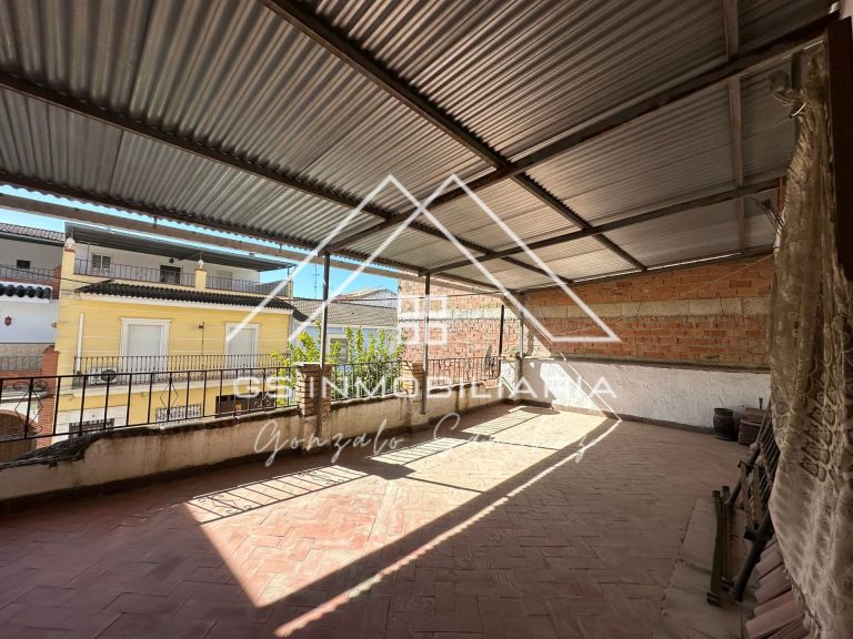 WhatsApp20Image202026-03-1220at2011.59.01-1