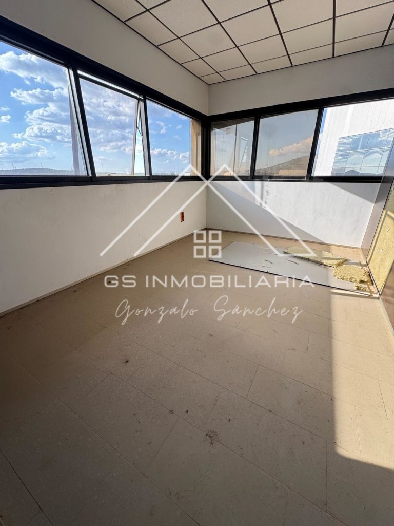 WhatsApp20Image202026-03-1220at2017.19.37