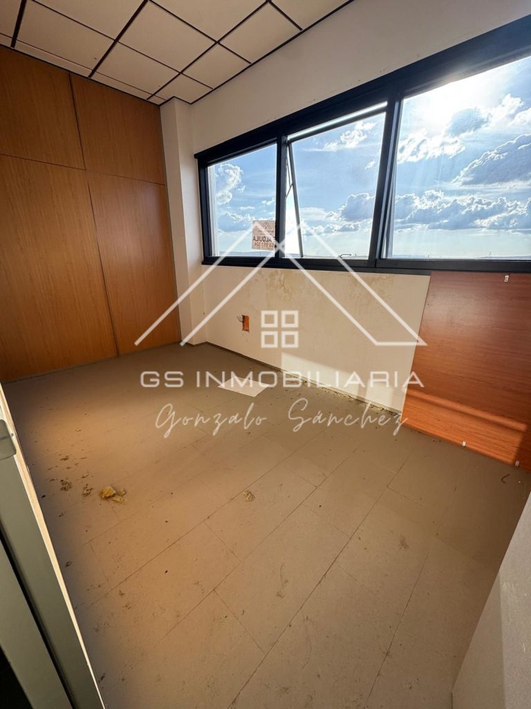 WhatsApp20Image202026-03-1220at2017.19.372028329-1