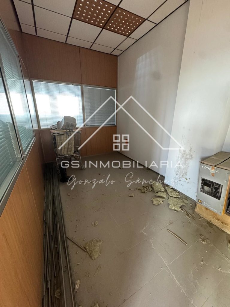 WhatsApp20Image202026-03-1220at2017.19.372028429