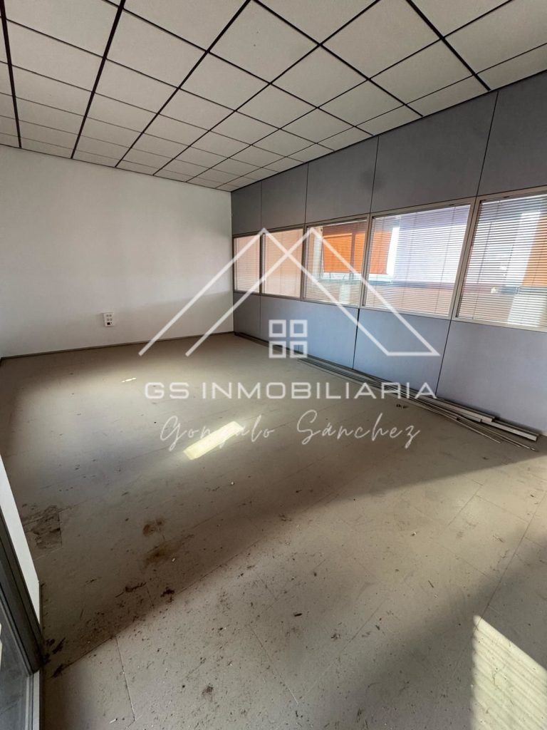 WhatsApp20Image202026-03-1220at2017.19.372028629