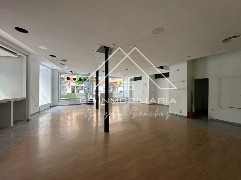 WhatsApp20Image202026-03-1320at2012.36.192028329-1