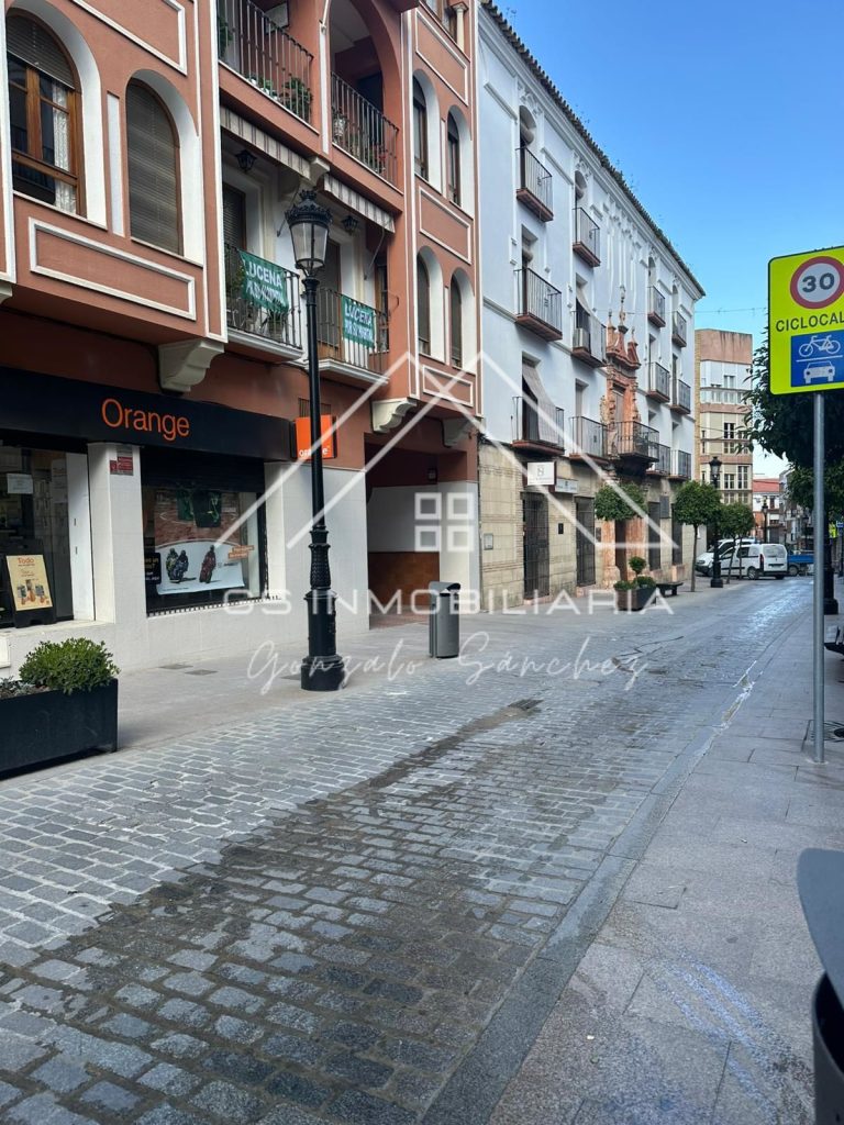 WhatsApp20Image202026-03-1320at2012.36.25-1