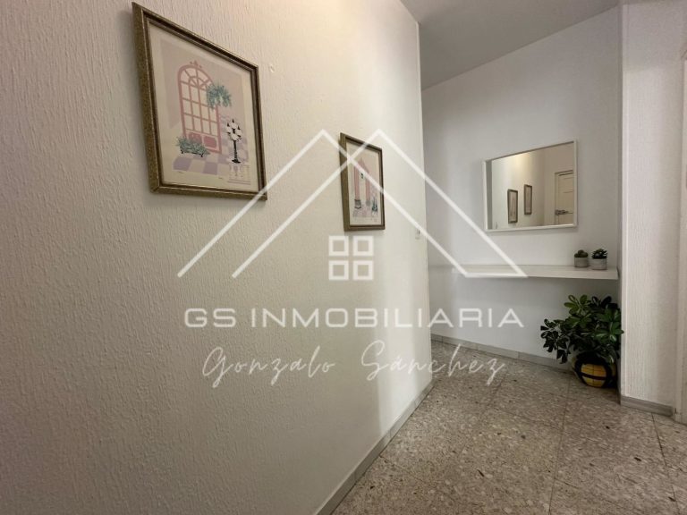 WhatsApp20Image202026-03-2620at2011.25.202028129