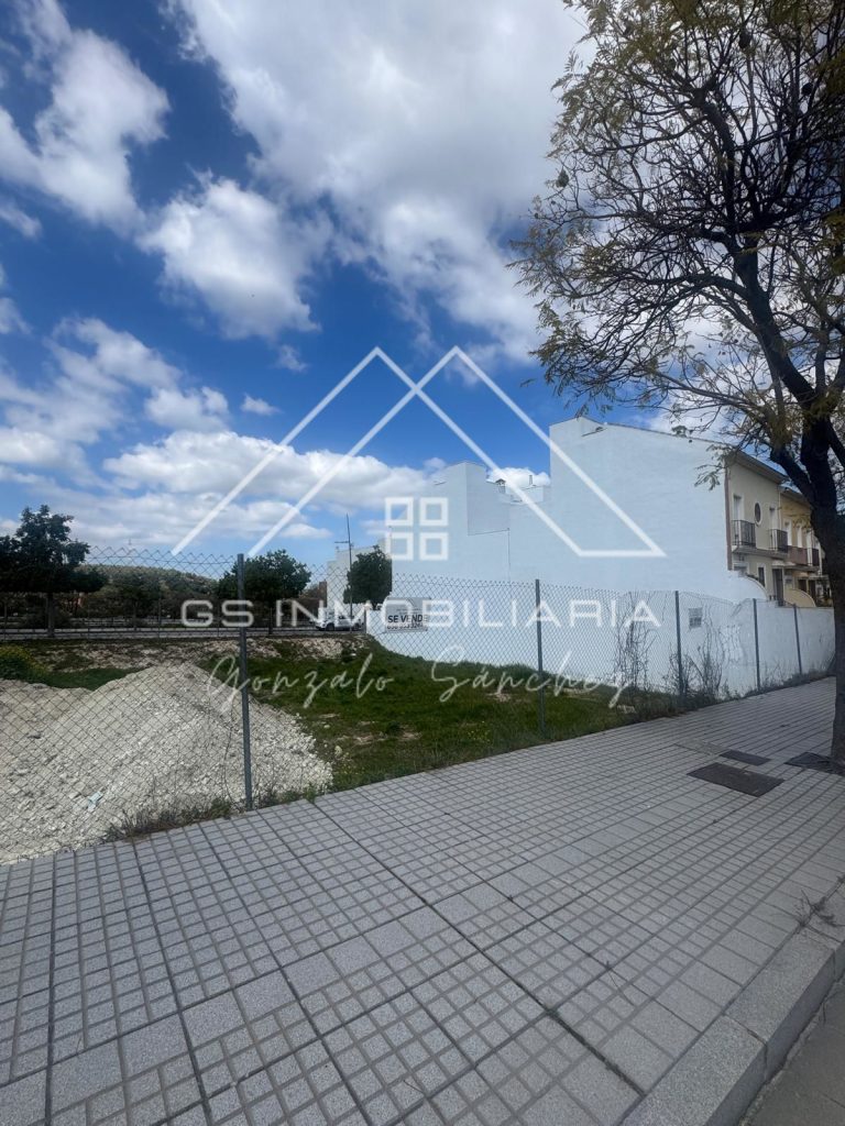 WhatsApp20Image202026-03-2720at2012.17.06